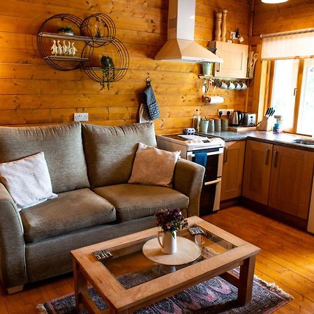 Cherry Cabin - Little Log Cabin In Wales Bettws Cedewain Extérieur photo