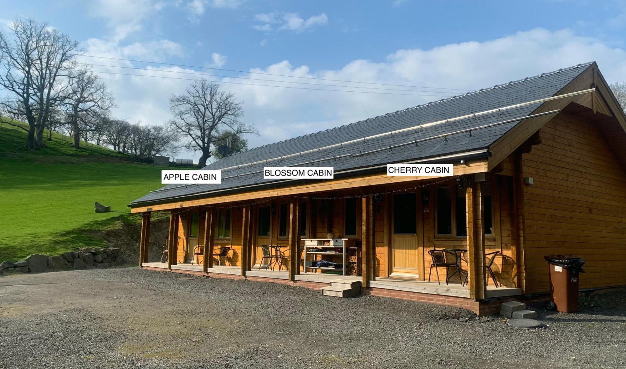 Cherry Cabin - Little Log Cabin In Wales Bettws Cedewain Extérieur photo